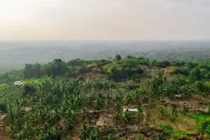 Gampha 12 Acres Land for Sale 30km to Colombo