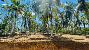 පිළියන්දල නේවාසික බිම් කොටස් විකිණීම
