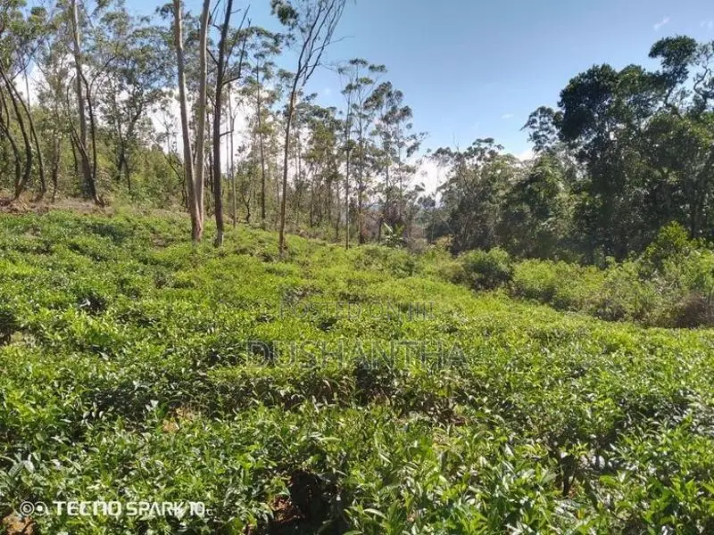 Land for Sale in Ella Kithal