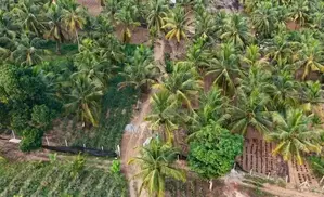 Gampha 12 Acres Land for Sale 30km to Colombo