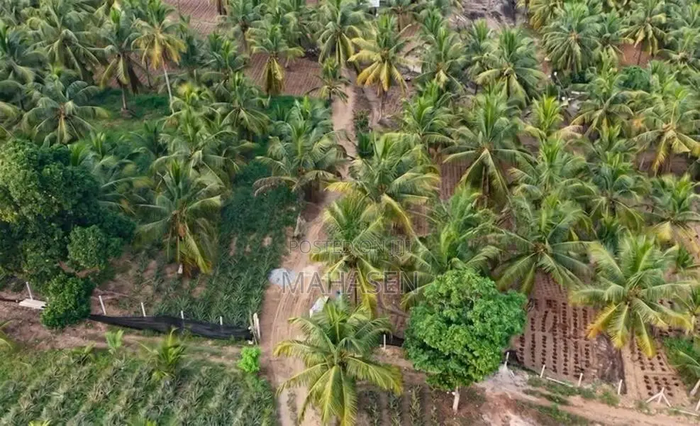 Gampha 12 Acres Land for Sale 30km to Colombo