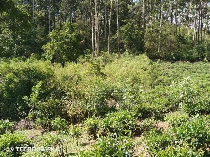 Land for Sale in Ella Kithal
