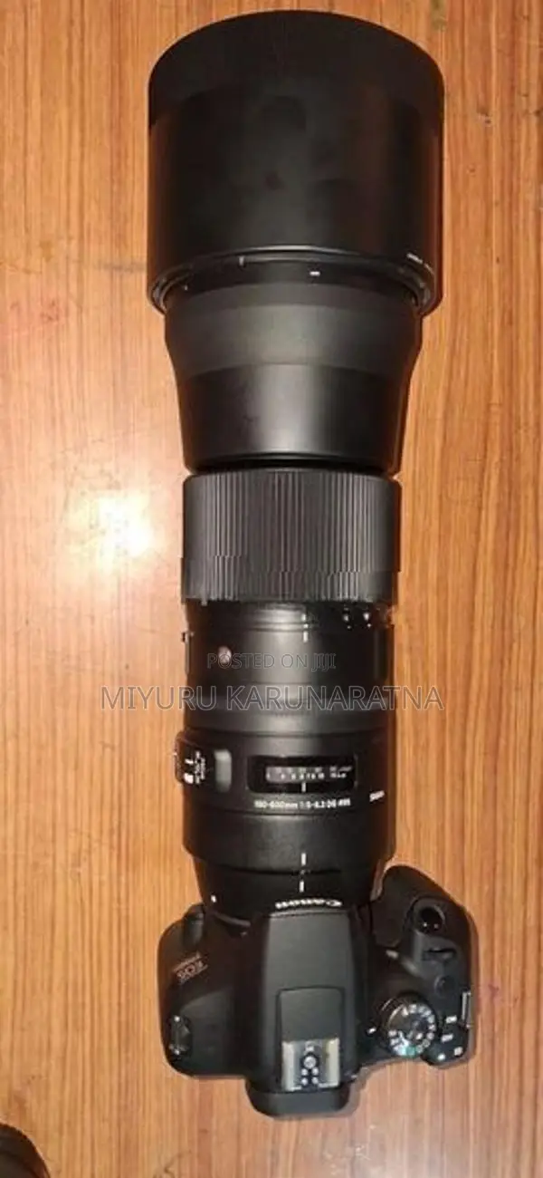 Canon Sigma 150-600mm F/5-6.3 Telephoto Lens