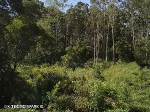 Land for Sale in Ella Kithal