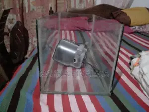 Fish Tank