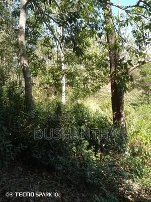 Land for Sale in Ella Kithal