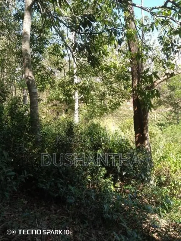 Land for Sale in Ella Kithal