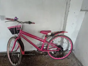 බයිසිකල් දෙකක්
