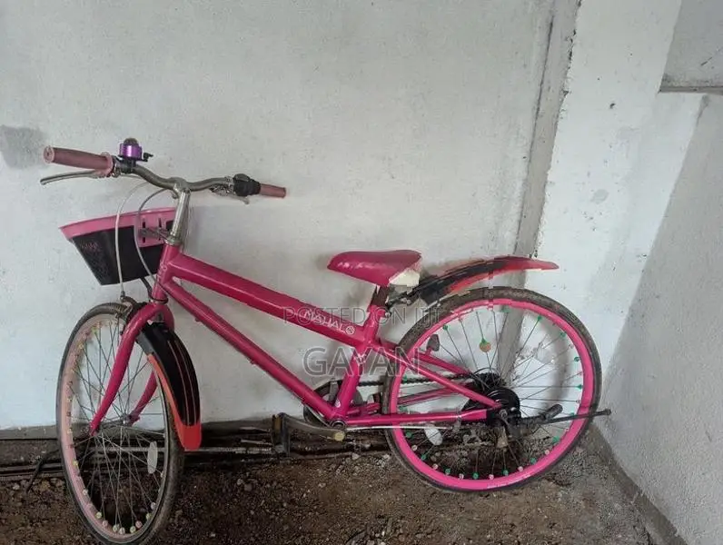 බයිසිකල් දෙකක්