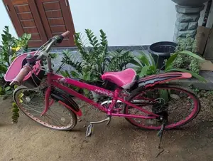 බයිසිකල් දෙකක්