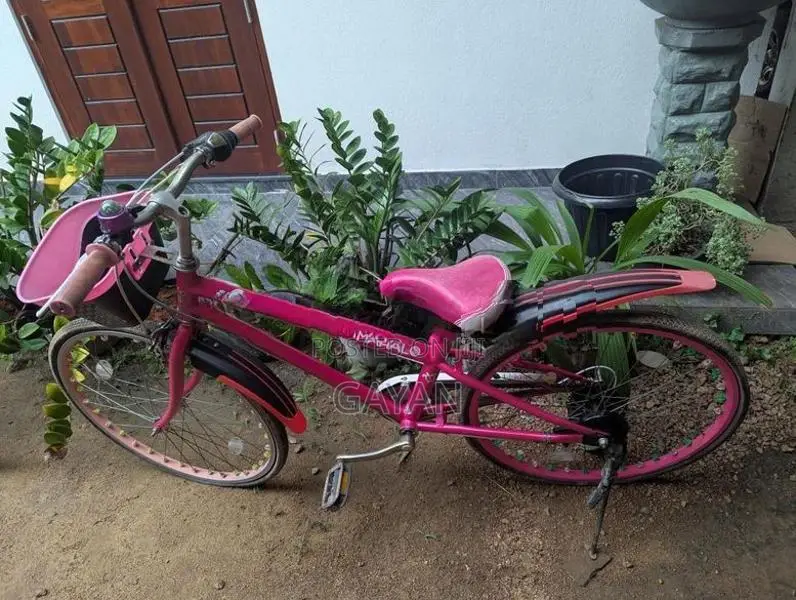 බයිසිකල් දෙකක්