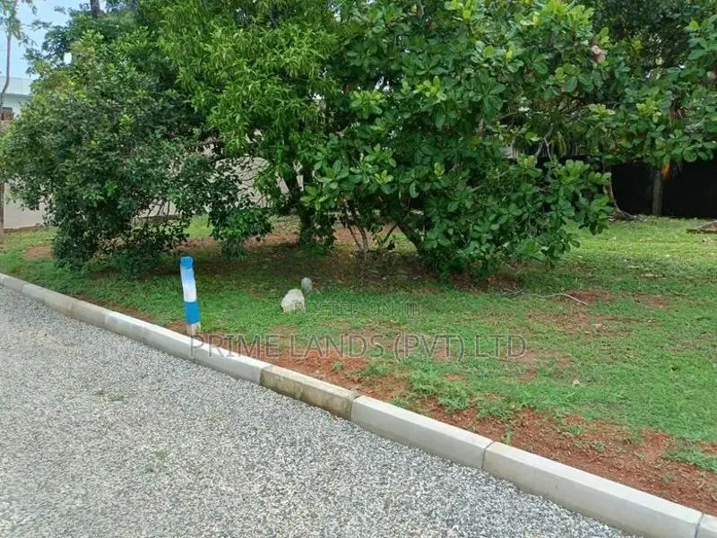 නාවල නේවාසික බිම් කොටස් විකිණීම