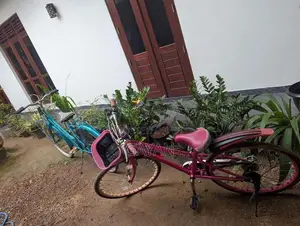 බයිසිකල් දෙකක්