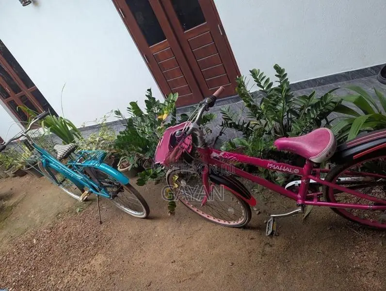 බයිසිකල් දෙකක්