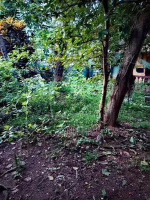 Super Land for Sale in Maharagama Facing to Mahamegawattha Road