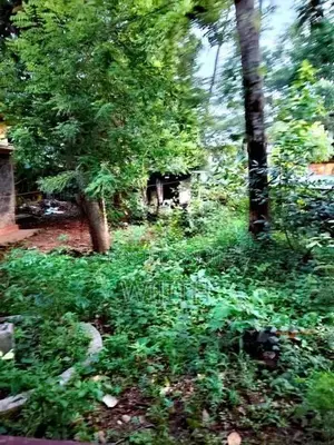 Super Land for Sale in Maharagama Facing to Mahamegawattha Road