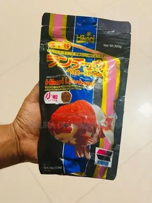 Hikari Lionhead