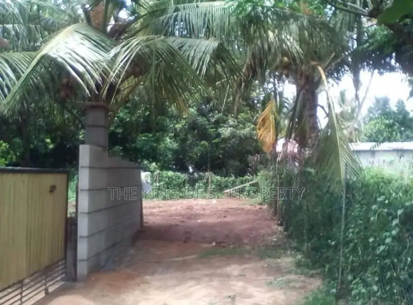 Land for Sale in Maharagama