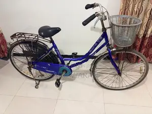 Lumala Ladies Bicycle