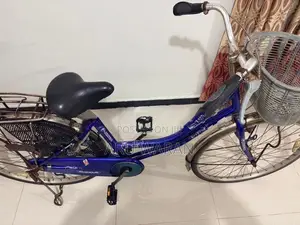 Lumala Ladies Bicycle