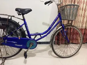 Lumala Ladies Bicycle