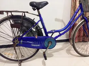 Lumala Ladies Bicycle