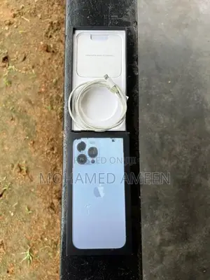 Apple iPhone 13 Pro Max (Used)