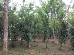 agricultural and Residential purposes Land for sale in meegoda