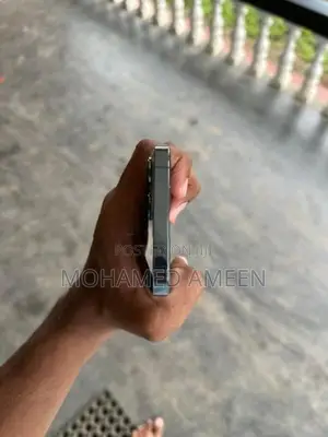 Apple iPhone 13 Pro Max (Used)