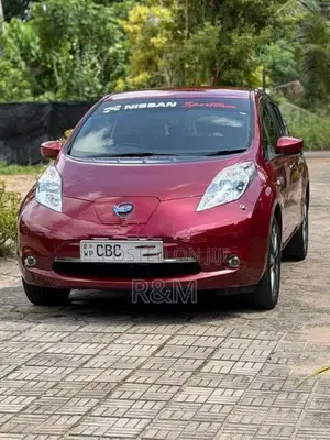 Nissan Leaf 2017