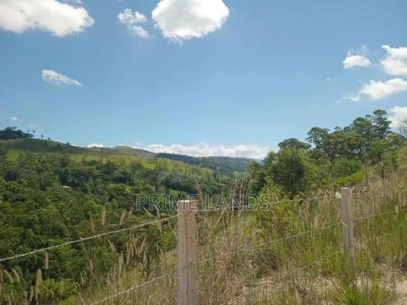 Land For Sale Deltota