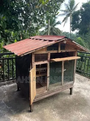 Pigeon Cage