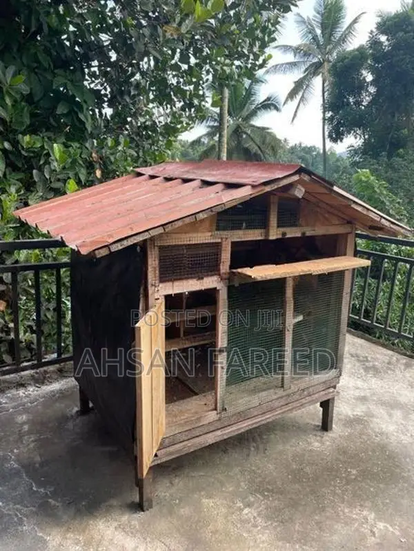 Pigeon Cage