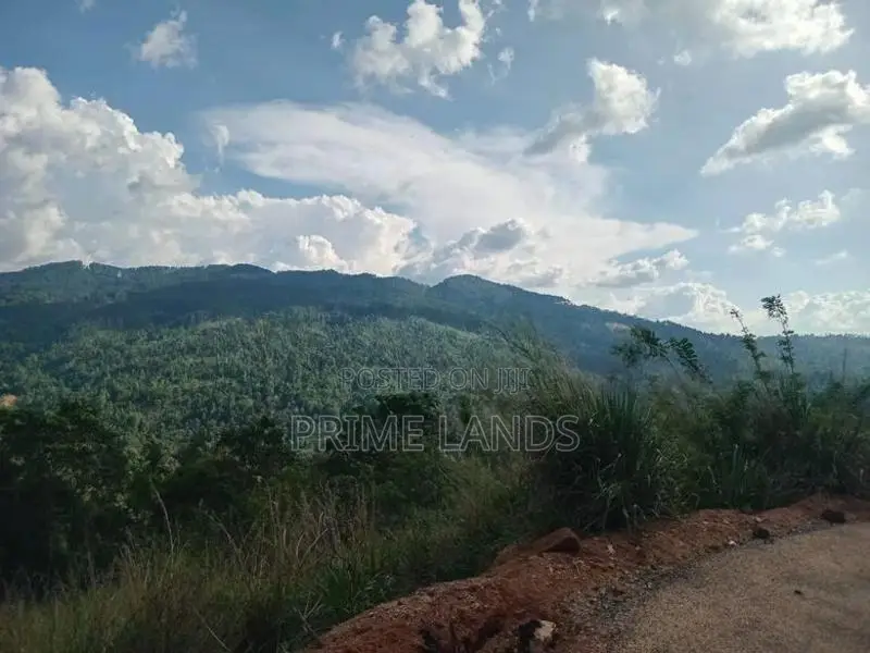 Land For Sale Nillamba