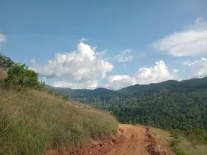 Land For Sale Deltota