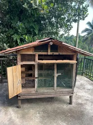 Pigeon Cage