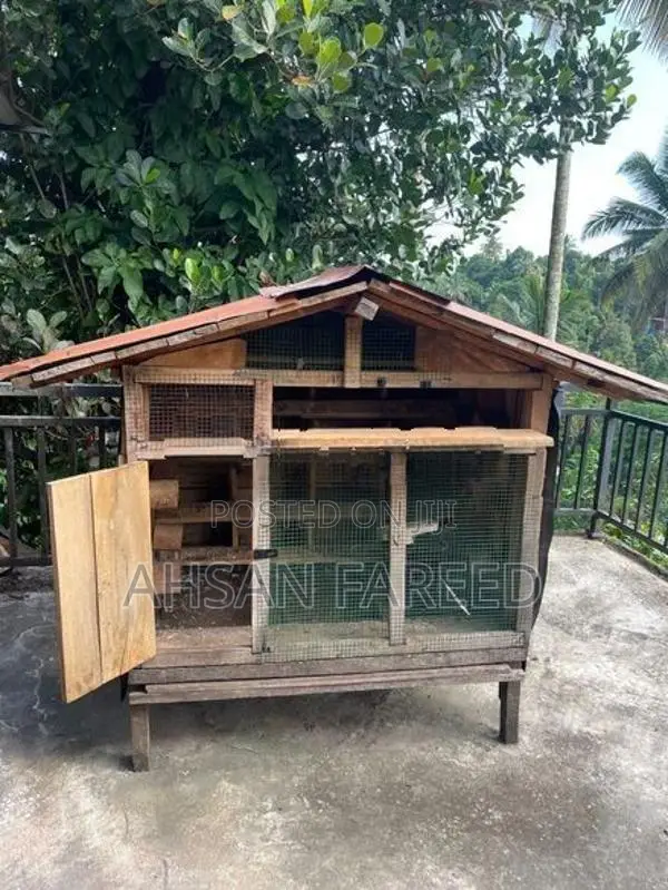 Pigeon Cage