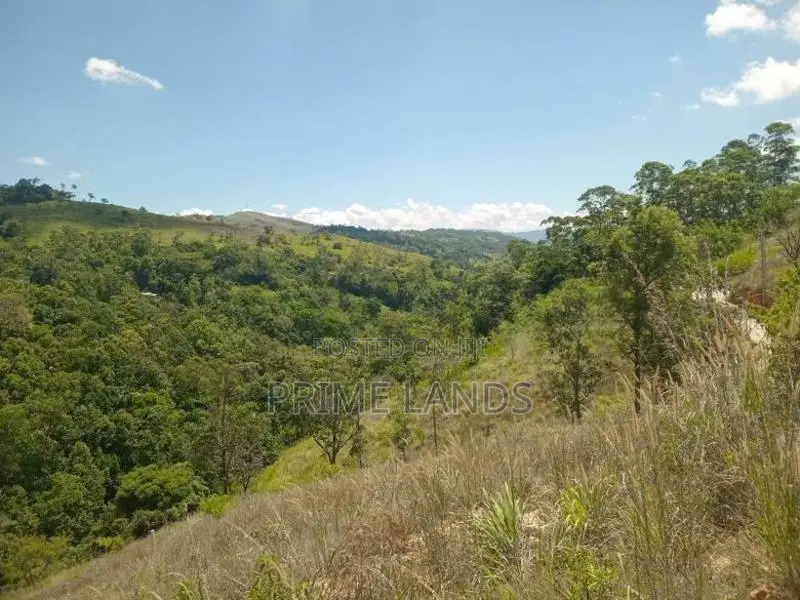 Land For Sale Deltota