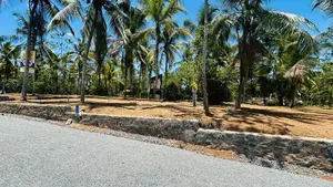 නේවාසික බිම් කොටස් විකිණීම පිළියන්දල