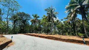 නේවාසික බිම් කොටස් විකිණීම පිළියන්දල