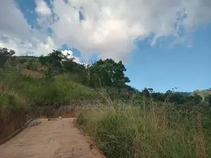Land For Sale Galaha