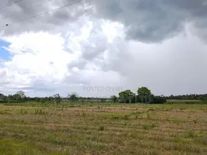 අනුරාධපුර ඉඩම් නාච්චාදූව පාරෙන්