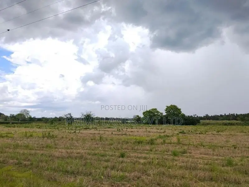 අනුරාධපුර ඉඩම් නාච්චාදූව පාරෙන්