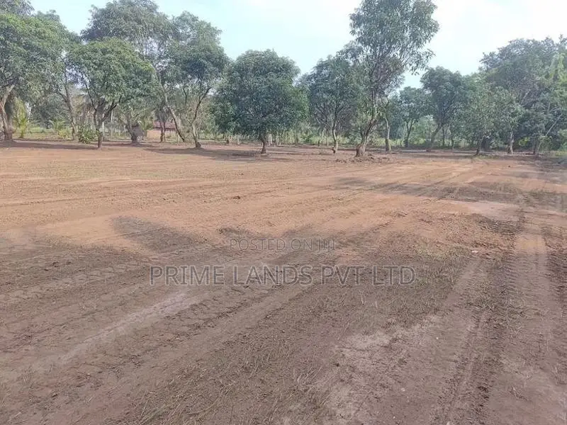 Land for Sale in Anuradhapura Saliyamawatha