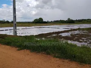 අනුරාධපුර ඉඩම් නාච්චාදූව පාරෙන්