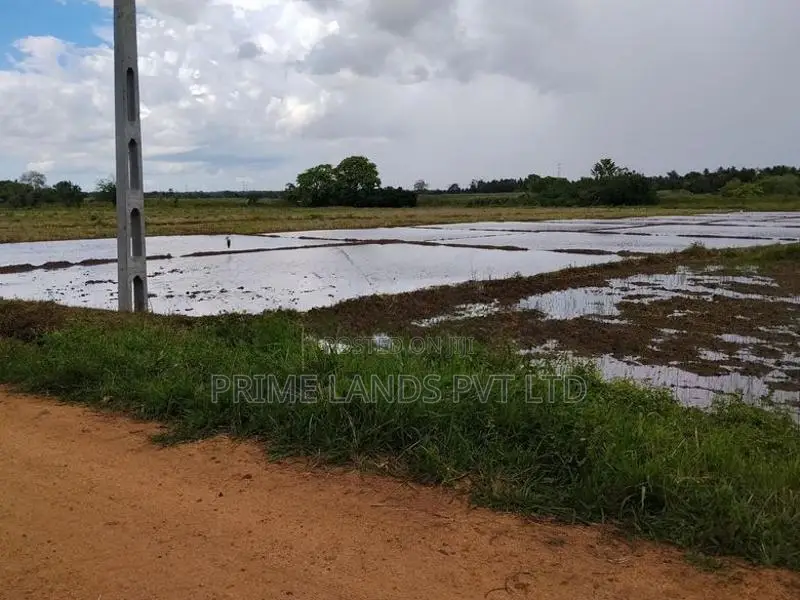 අනුරාධපුර ඉඩම් නාච්චාදූව පාරෙන්