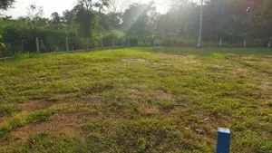අනුරාධපුර පුත්තලම පාරට මුහුණලා බිම්කොටස