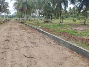 අනුරාධපුර ඉඩම් නාච්චාදූව පාරෙන්