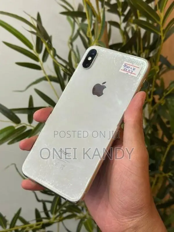 Apple iPhone XS Max 256GB (Used)