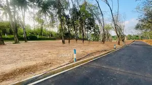 Land For Sale Beruketiya